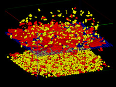 DigiDEM™ used to simulating sieving operations in the mining industry DigiDEM™ used to simulating sieving operations in the mining industry